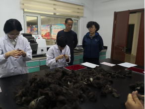 第16期 青海省纤维检验局开展岗位练兵活动 着力提升毛绒检测能力83.png